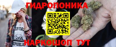 эйфоретик Лесосибирск