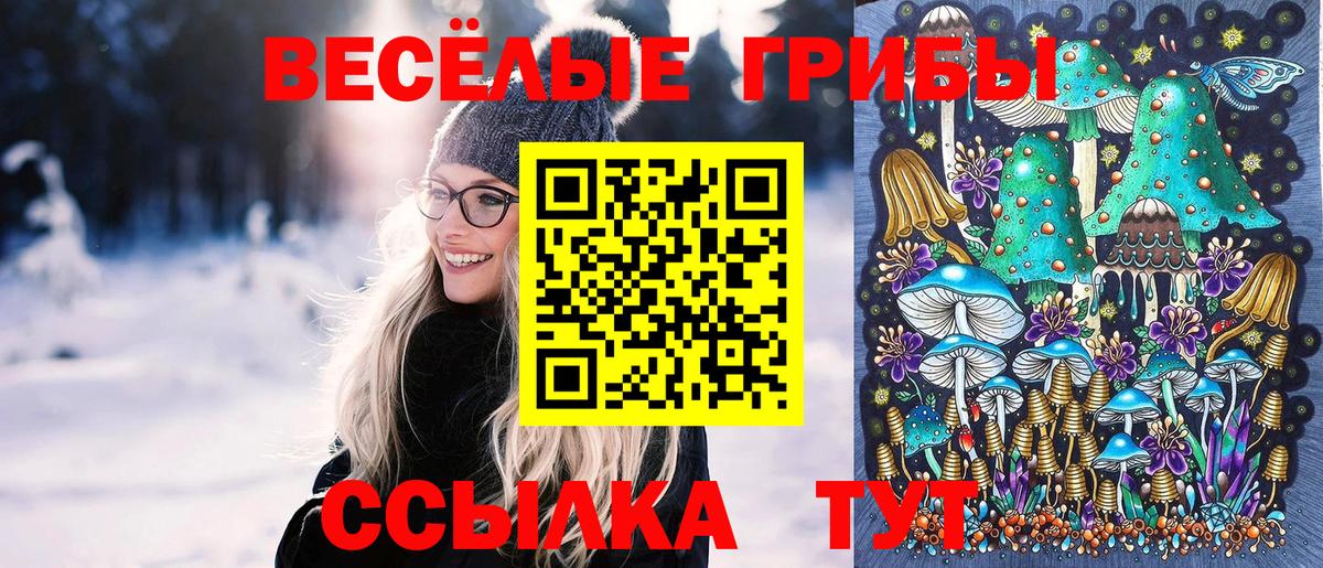 Гусиноозёрск  Галлюциногенные грибы Magic Shrooms  Вход с VPN 