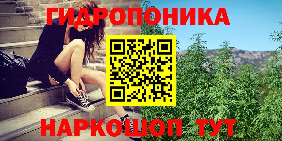 Бошки Шишки THC 21%  Бошки марихуана семена  Гусиноозёрск  Вход с VPN 